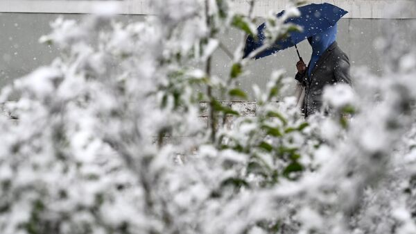 Москвичам рассказали о погоде в День Победы