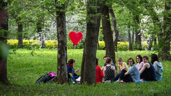 Москвичей предупредили о мокром снеге и порывистом ветре