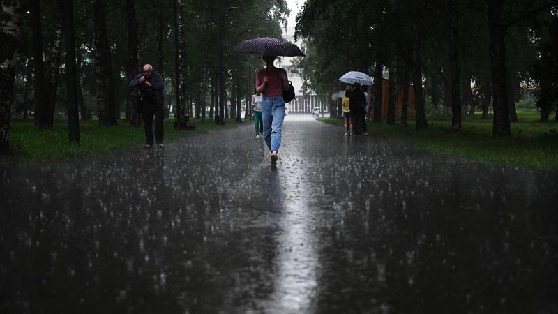 Москвичей предупредили о грозе и сильном ветре во вторник