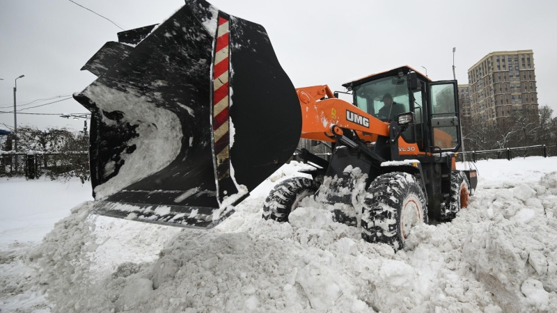 Январь стал самым снежным в Москве за последние 203 года