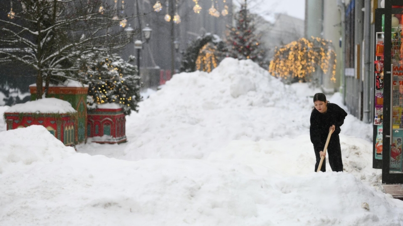 Москвичей предупредили о сильных снегопадах