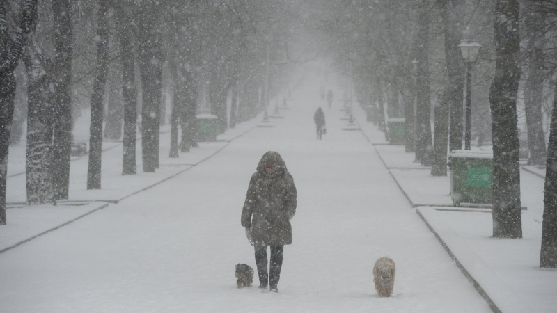В Москве и области объявили оранжевый уровень погодной опасности