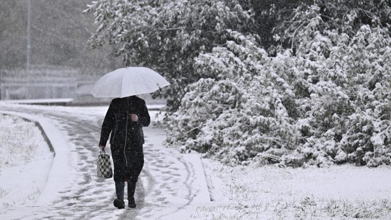 В Москве высота снежного покрова достигла 31 сантиметра