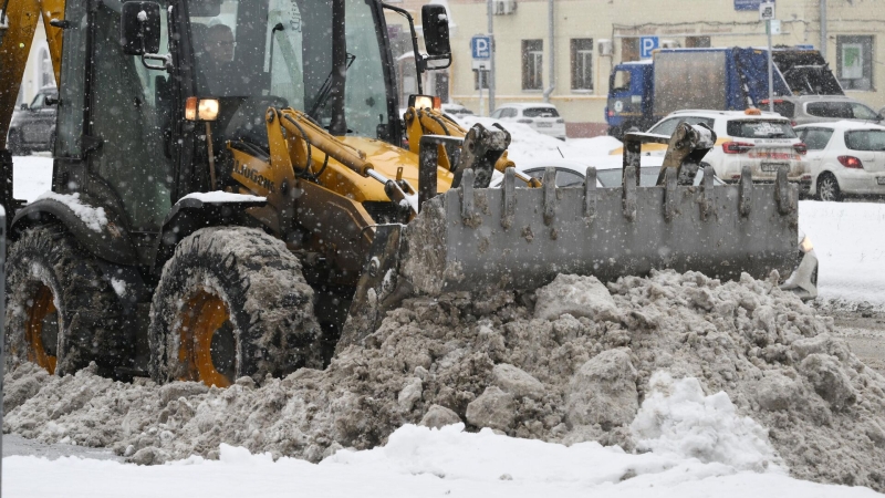 Воскресенье в Москве может стать самым холодным днем зимы