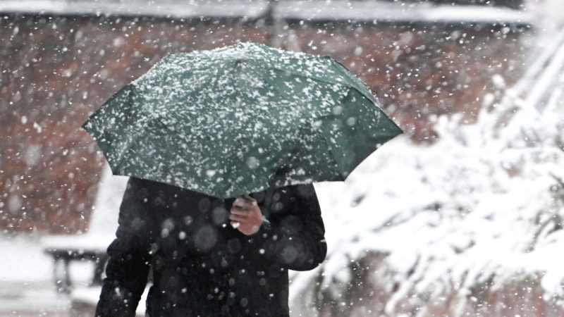 Климатолог предсказал сильные снегопады в Москве в ближайшие десять лет