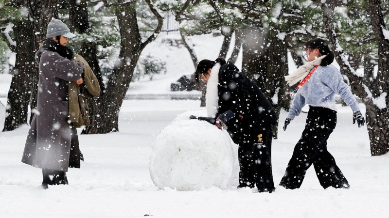 Климатолог предсказал сильные снегопады в Москве в ближайшие десять лет