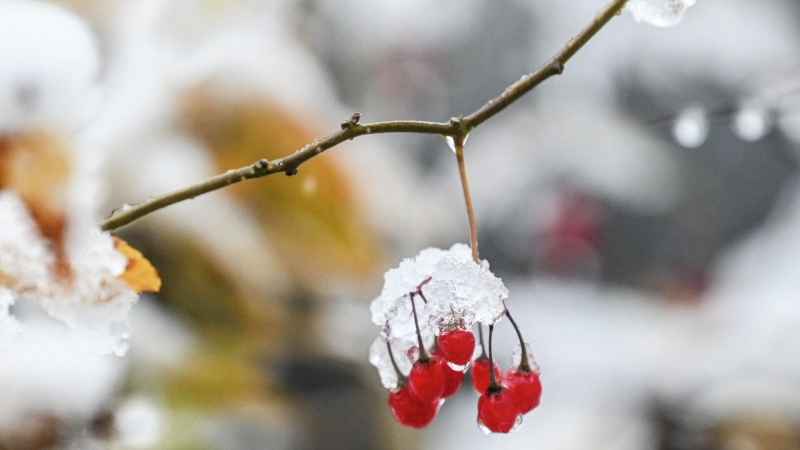 Москвичи смогут увидеть солнечное гало, сообщил синоптик