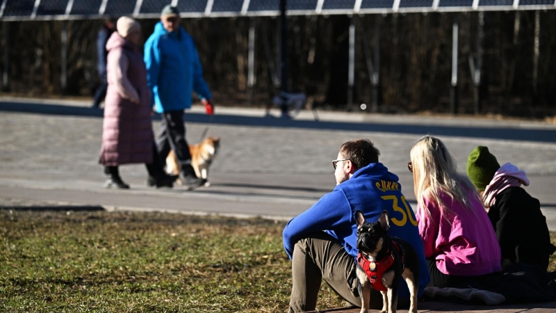 Синоптик рассказал, каким будет лето в Москве