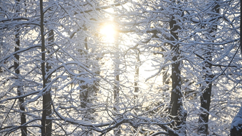 Синоптик рассказал, когда в Москве полностью сойдет снежный покров