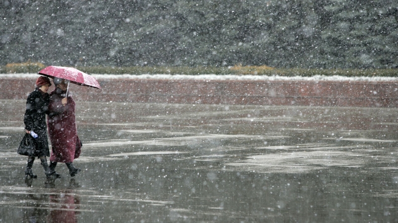 Синоптик предупредил о барической пиле в Москве на следующей неделе
