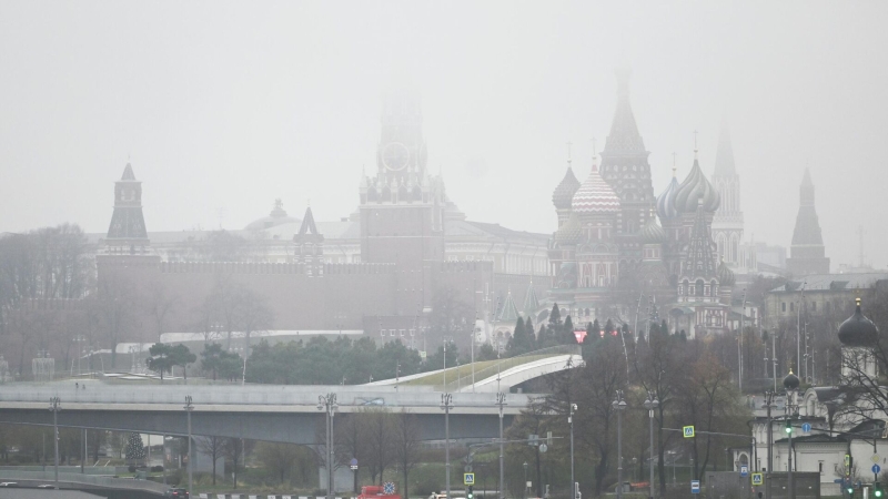 Синоптик рассказала, когда в Москву вернутся ночные заморозки