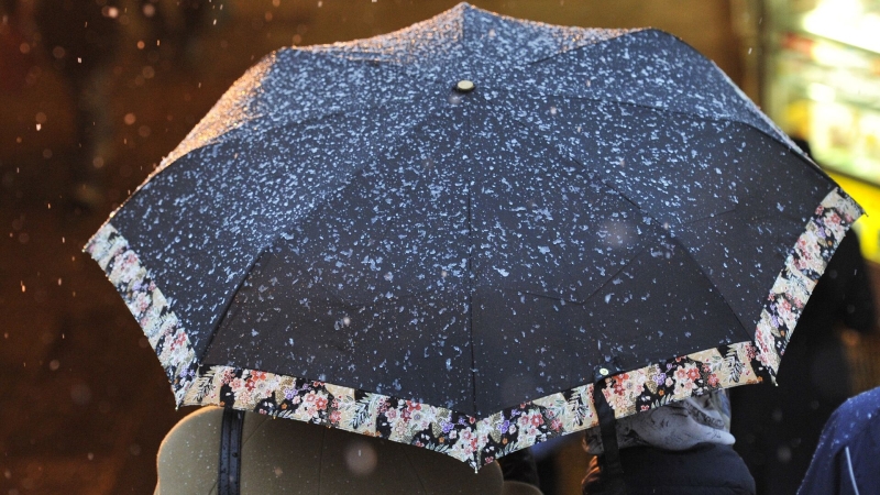 В Центральной России в воскресенье пройдет дождь со снегом